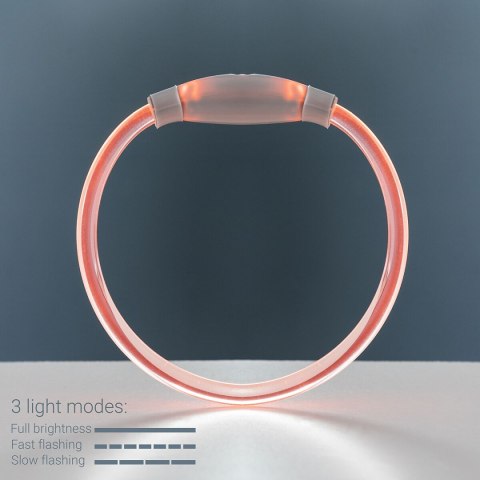 Obroża LED dla zwierząt Petlux InnovaGoods