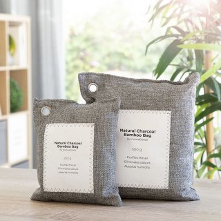 Zestaw Torebek z Węglem Aktywnym Oczyszczającym Powietrze Bacoal InnovaGoods (2 sztuki)