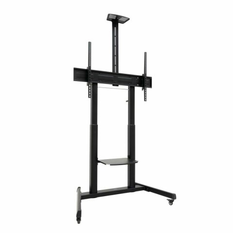 Stojak TV na podłogę z kółkami TooQ FS20406HM-B 60" 100" 120 kg 130 Kg (Odnowione A)
